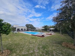 Img15138_6 Img15138_6