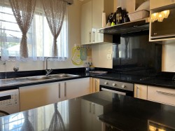 Img15371_5 Img15371_5