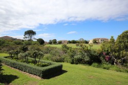 Img15371_9 Img15371_9