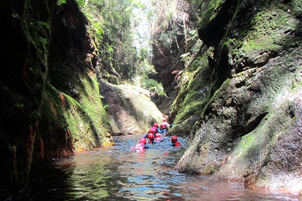 Africanyon