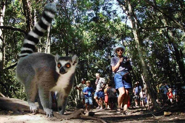 Monkeyland