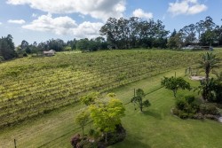 Img15219_10 Img15219_10