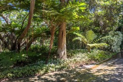 Img15255_9 Img15255_9