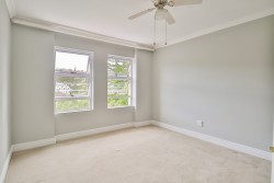 Img15299_10 Img15299_10