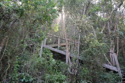 Img15596_6